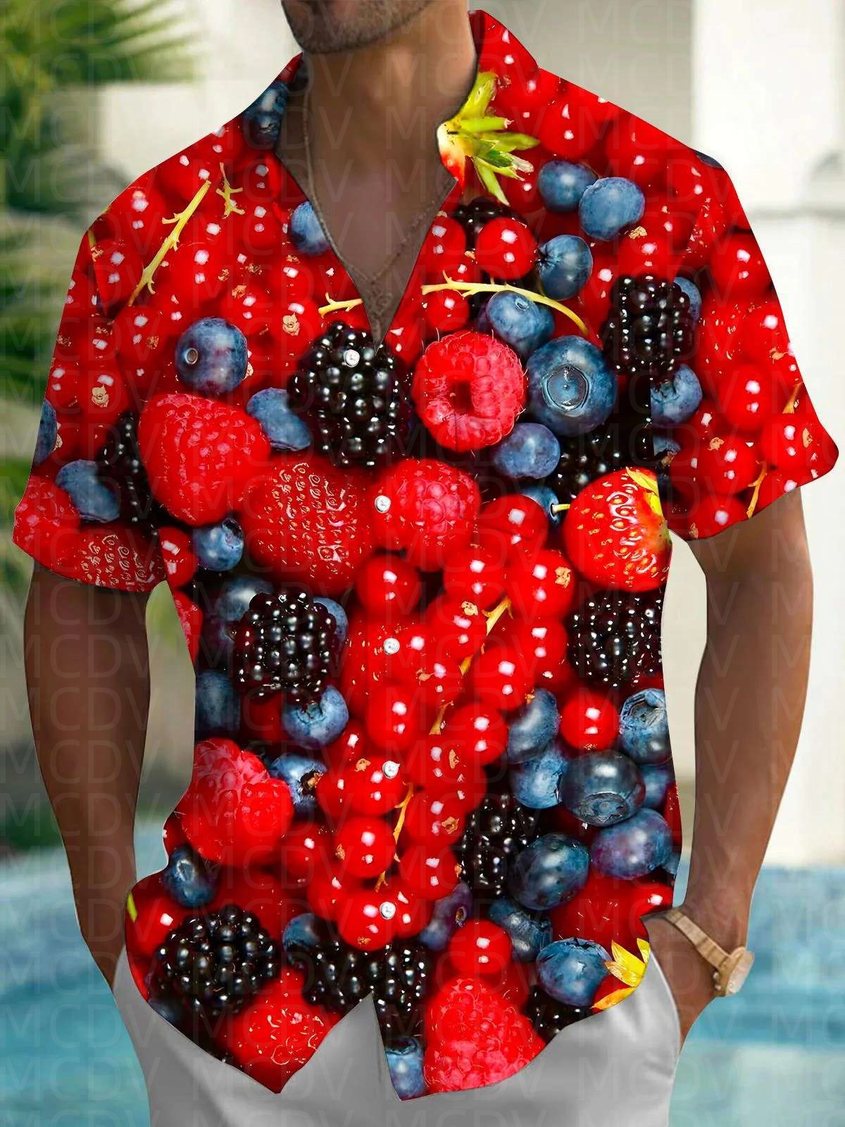 Cute Pattern Men's Hawaiian Sh - Shirt Camp Collar 리뷰 및 가격