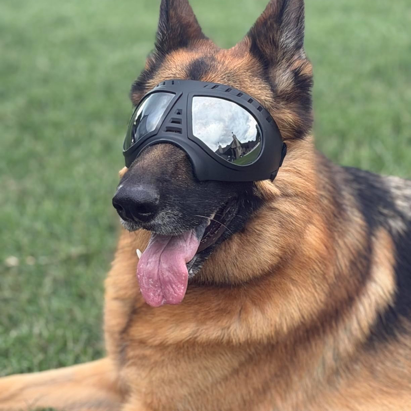 Pet Glasses for medium large-s - Sunglass Retainer Cord 리뷰 및 가격
